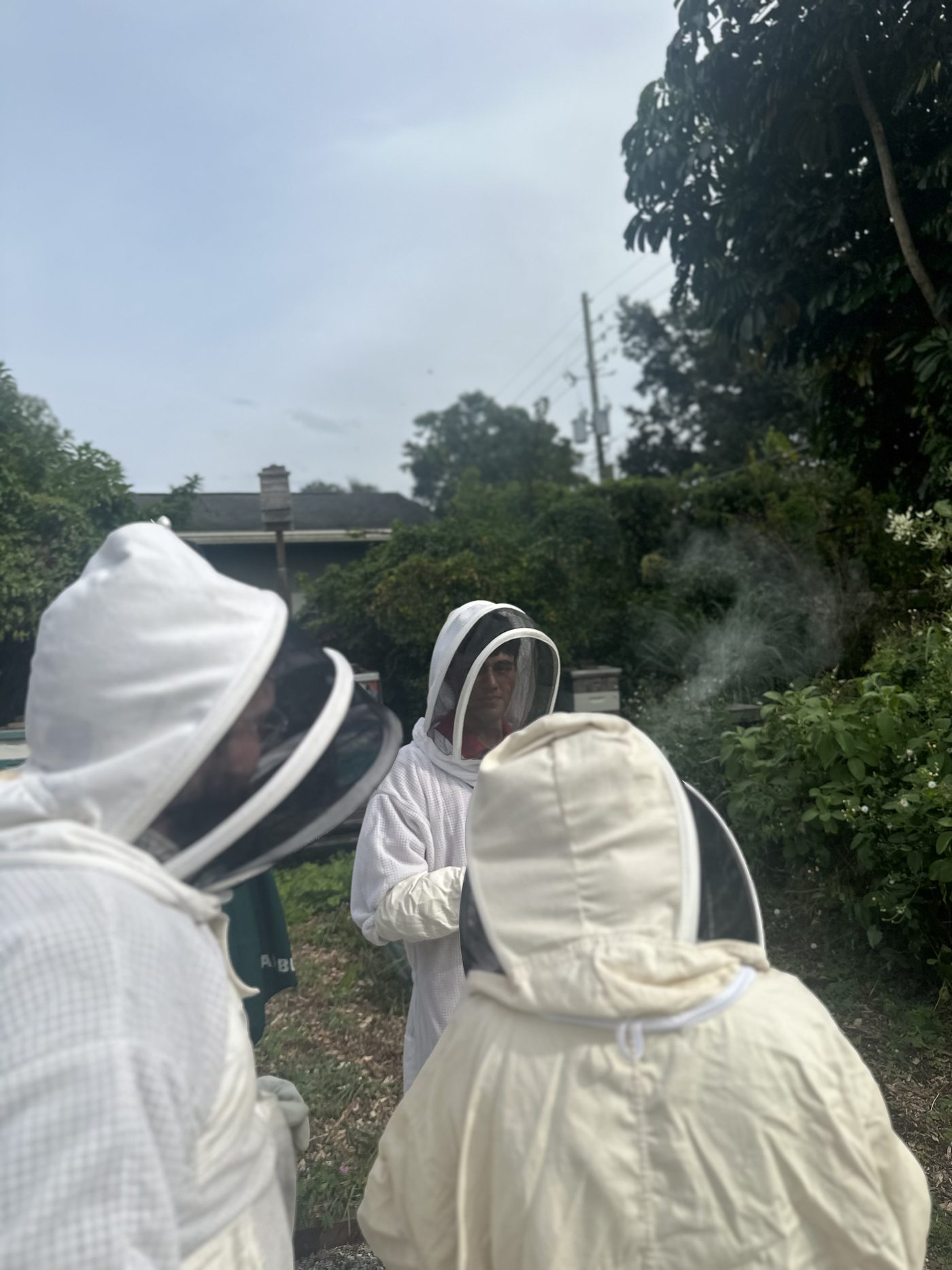 Hive inspection