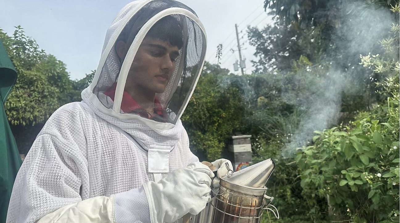 Working the smoker at the hives