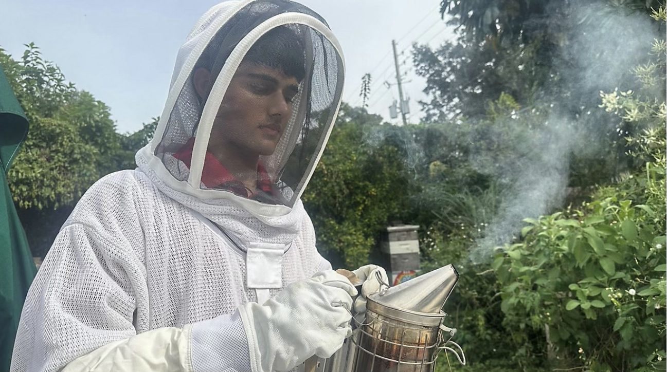Working the smoker at the hives